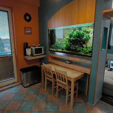 Suk Apartman 24 Suchdol nad Luznici Εξωτερικό φωτογραφία